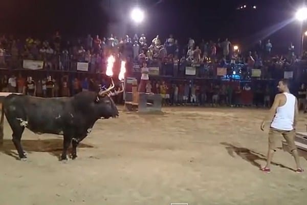 WATCH: Bull With Flaming Horns Destroys Idiot Who Taunts It.