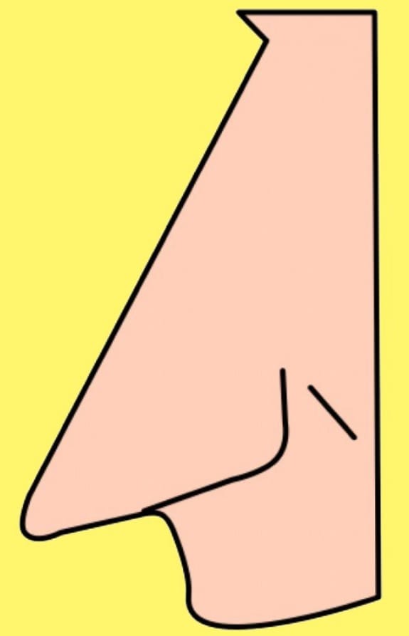 Choose Which Nose Matches Yours and Find Intriguing Facts About Your Personality