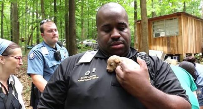 Cops Rescue 526 Baby Puppies From A Monster. 1 Year Later? I Can't Stop SMILING!