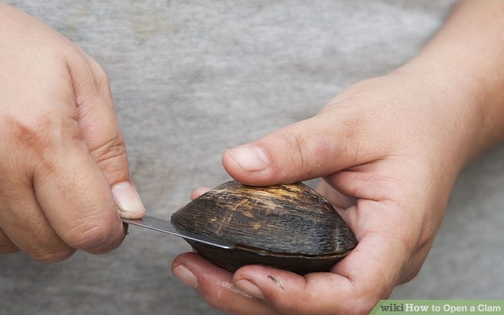 Even This Woman Wouldn't Have Thought About This While Opening A Clam. Take A Look!
