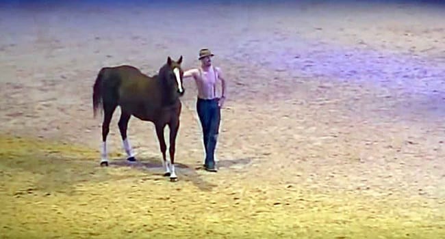 He Stands By His Horse- No One Could Take Their Eyes Off His Next Move