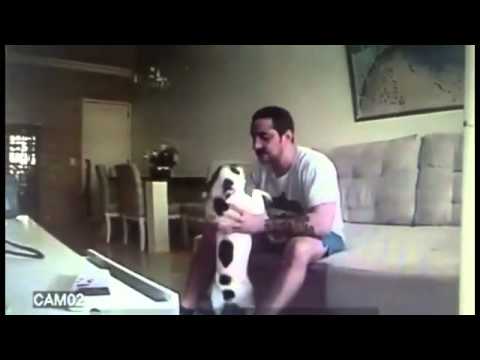 Her Dogs Acted Strange Around Her Fiance, So She Sets A Hidden Camera. What She Finds? Sickening!