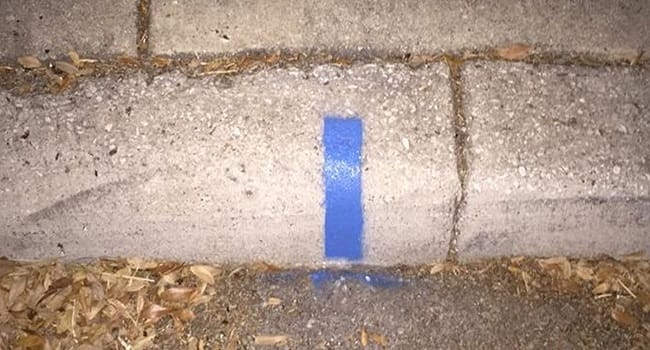 If You See A Blue Line On The Curb Outside Your House... This Is What It Means