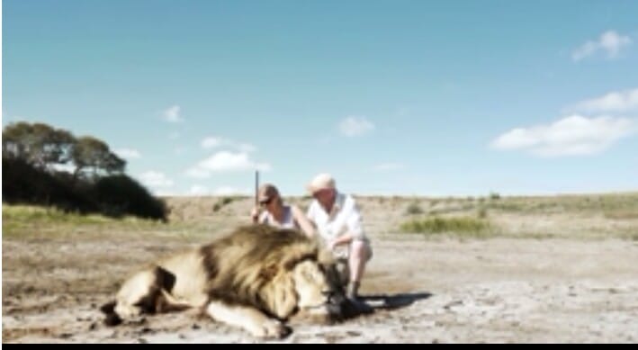 WATCH: Lion Takes Absolutely BRUTAL Revenge On Big Game Hunger