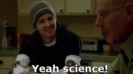 NASA Gave Spiders A Bunch Of Drugs And The Webs They Spun Are Amazing.