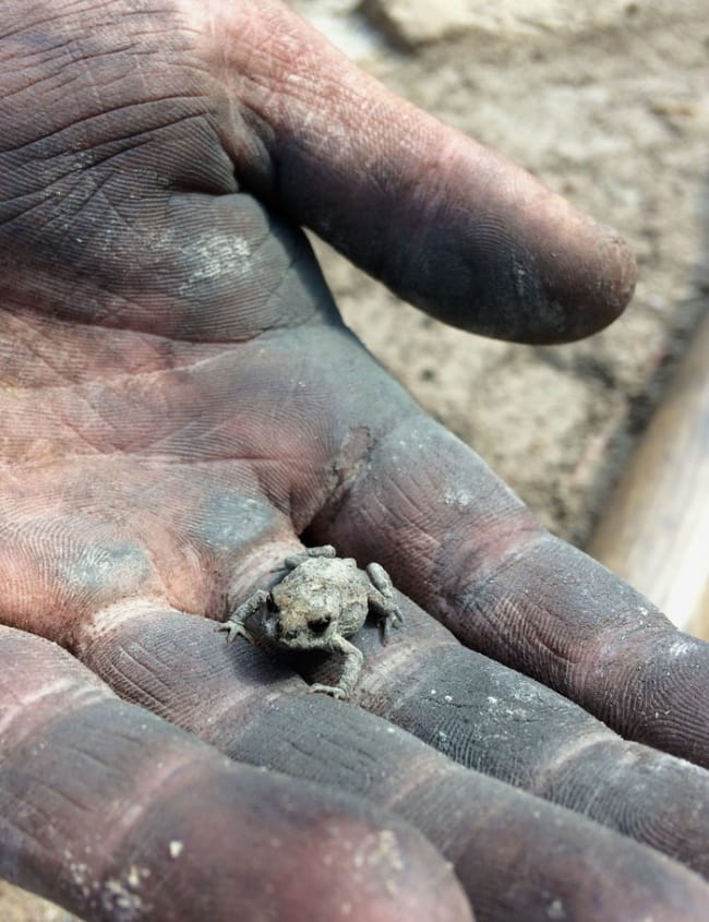10 Profound Photos For People Who Are Disappointed With The World