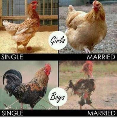Single Life Vs Married Life Depicted Hilariously In These Pictures.