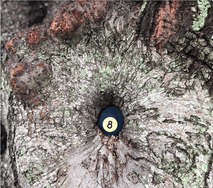 10 Rare Pictures Which Will Give You Goosebumps As They Are Full Of Amazement