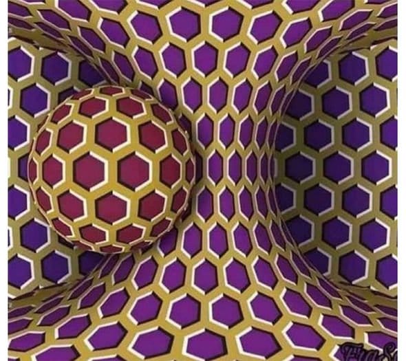 Studies Suggest That Only 1% Of People Can Find The Animal In This Picture.