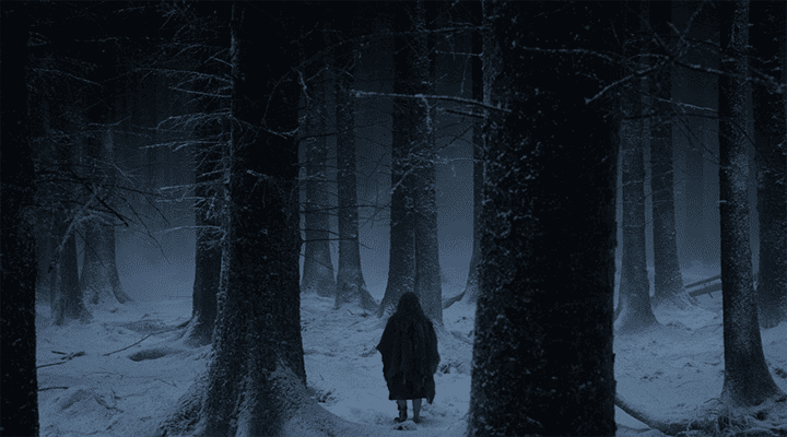 TERRIFYING SOUNDS RECORDED FROM A CANADIAN FOREST. WHAT IS IT?