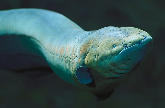 Ten Bizarre Things That Are Killing Americans Every Year