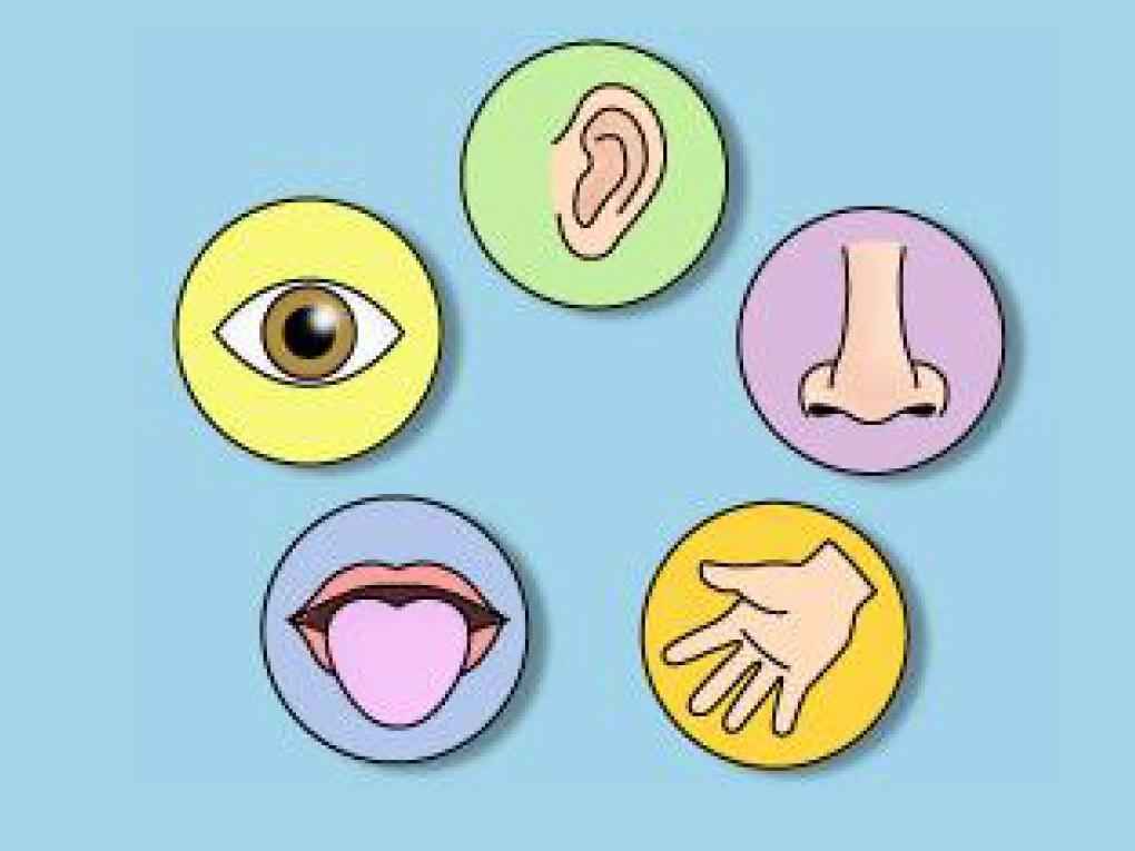 Test: How Easy Is It to Trick Your Eyes?