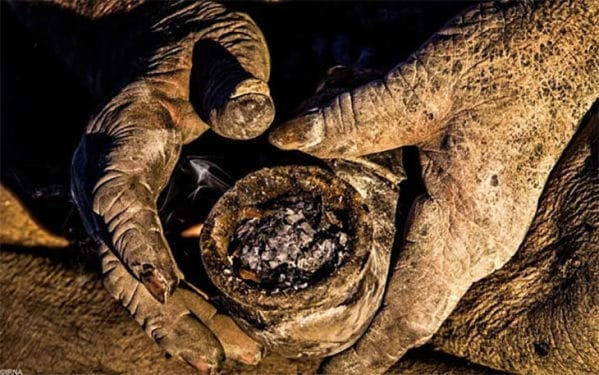 The Last Time This Man Showered Was When He Was 20. Look At Him Now.