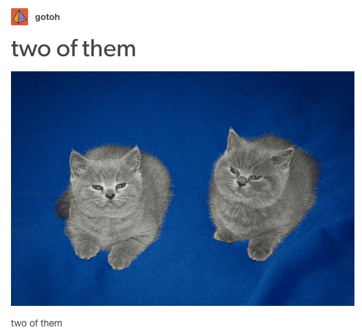 The Most Perfect Images You Will Ever Come Across