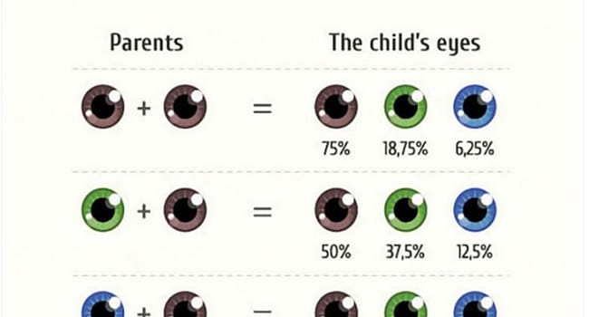 The Ultimate Guide To What Your Children May Look Like