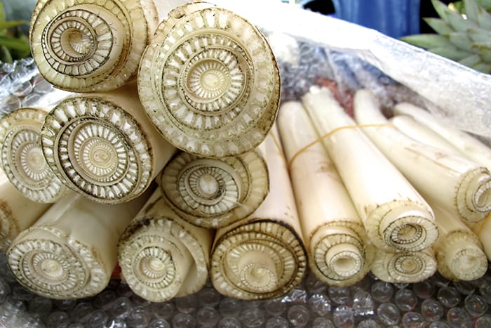 These 15 Photos Of Objects Cut In Half Reveal The Unseen Side Of Things