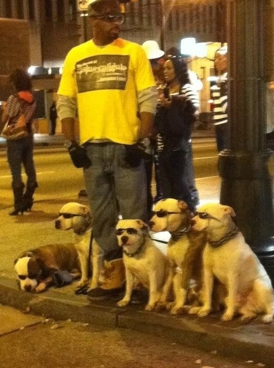 These 17 People Whom You'd Wish You Knew In Real.