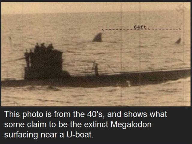 These 7 Creepy Pictures Will Give You The Chill!