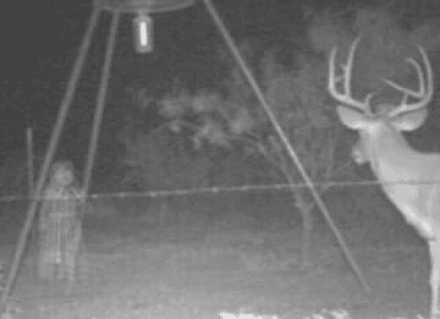 These 9 Terrifying Photos Will Send Shivers Down Your Spine!