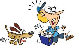 They Didn't Believe That The Cat Does THIS Every Day... So He Filmed It!