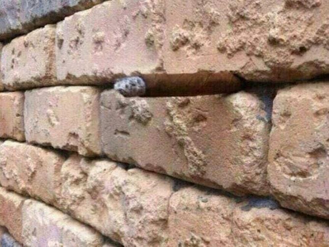 This Brick Wall Optical Illusion Is Giving The Internet Fits
