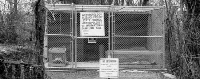 This Farm In Texas Doesn't Grow Crops Or Livestock. What Lies Beyond Is Extremely Morbid