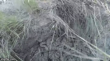 This Guy Dropped His GoPro Camera Into A Snake Pit And The Footage Is Spooky As Hell