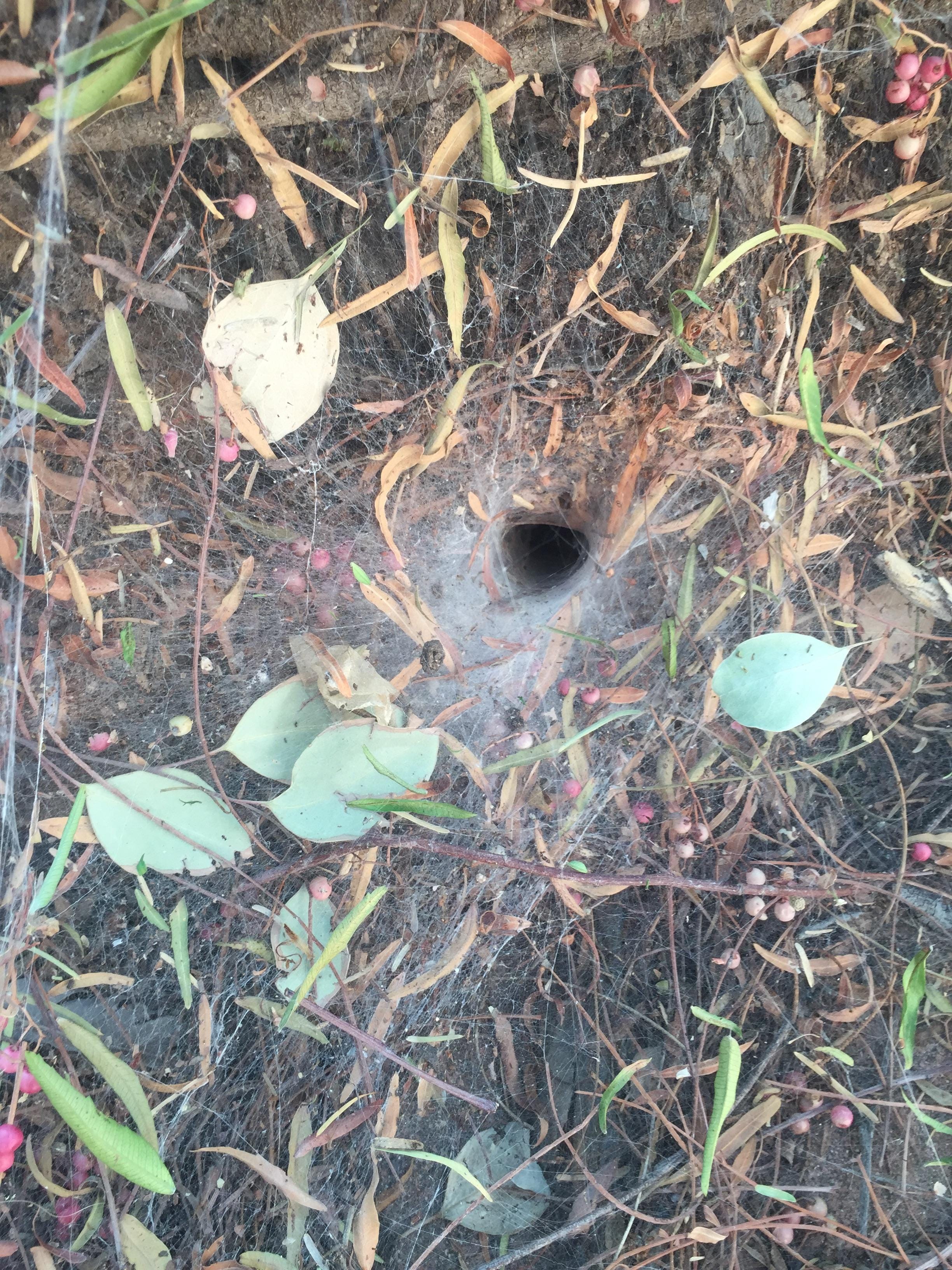 This Man Did A Big Mistake By Sticking His Finger Into This Strange Hole!