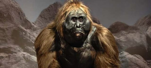 This Mysterious Creature Is Giving Sleepless Nights To all The Desert Experts