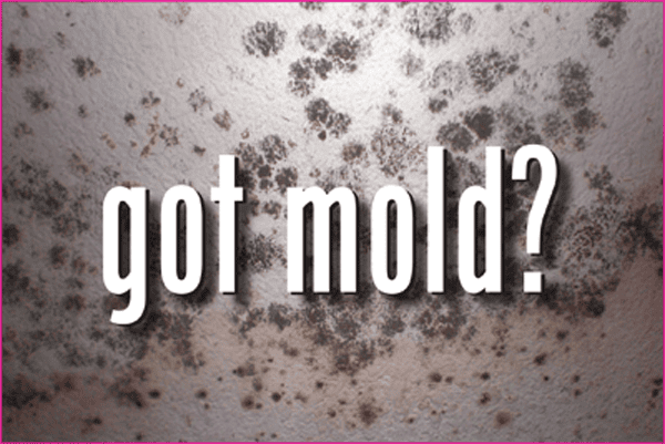 This ONE Common Household Ingredient DESTROYS Mould! I Have To Try This!