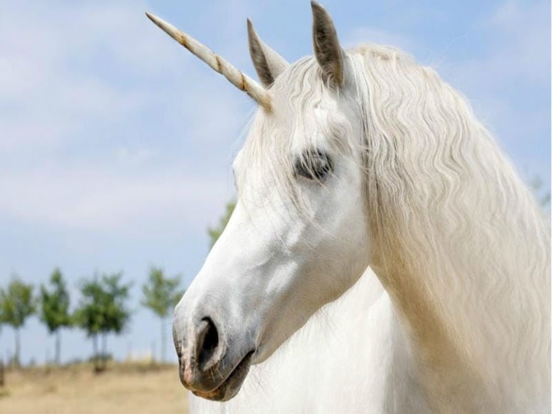 Top 8 Creatures That Humans Once Believed Were Actually Real!