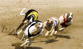 VIDEO: This Marble Race At The Beach Is Way More Fun Than It Should Be...I Didn't Blink Once!