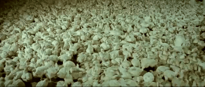 VIDEO: Without Saying A Word, This Short 6 Minute Video Will Leave You Speechless