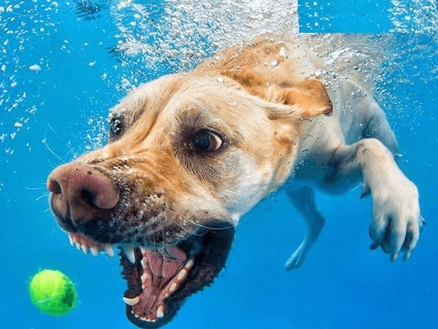 Wanna Know How Some Of The Most Amazing Photos In The World Are Captured? Take A Look...