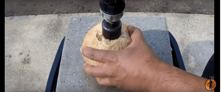 When You Pour Molten Copper Into A Coconut, Crazy Thing Happens
