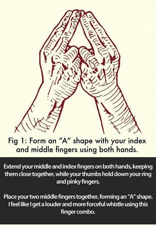 Whistling Is A Skill. This Is How you do it...