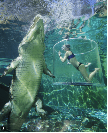Woman Gets Lowered Into A CROCODILE Tank, What Happens Next Is Horrifyingly Predictable