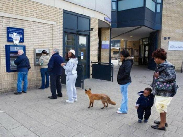 You Will Have To Look Twice To Understand These 10 Ultimate Pictures.